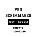 PRO/ NCAA/ CHL Scrimmages